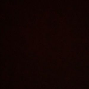 Meet your Posher, Harrison